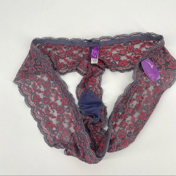 Just Sexy Gray & Pink Lace Cheeky Panties Size 2X NWT plus - Picture 3 of 4